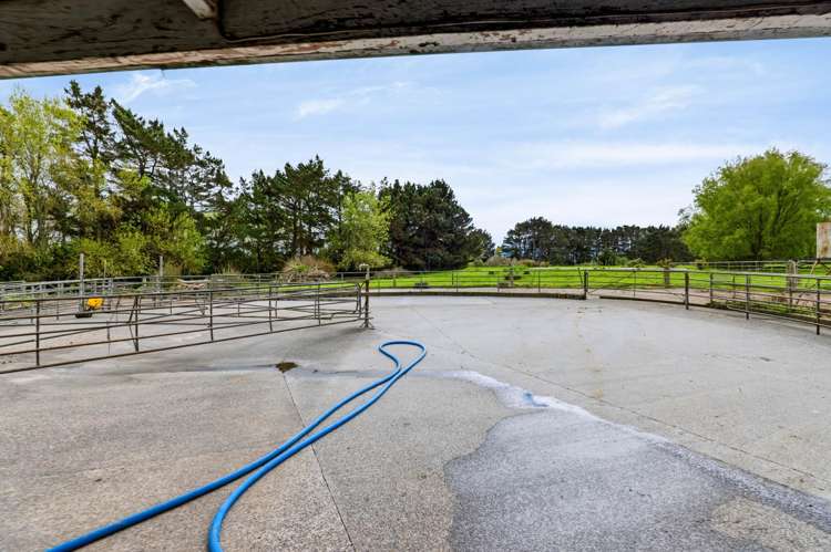 985 Manaia Road Kapuni_10