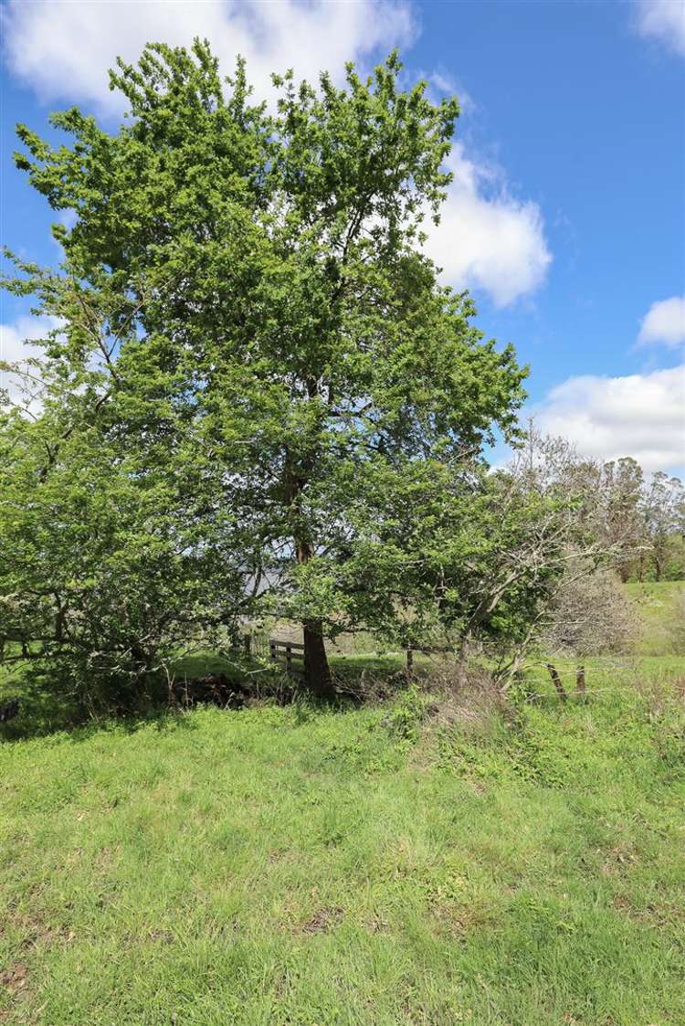 Glen Murray Road Rangiriri_9