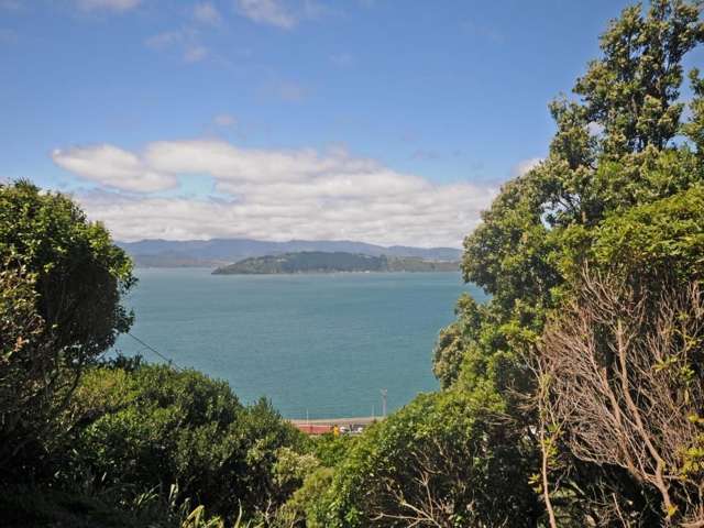 137 Barnard Street Wadestown_1