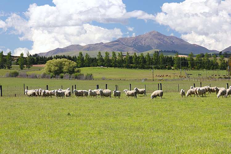 722 Kakapo Road Te Anau_17