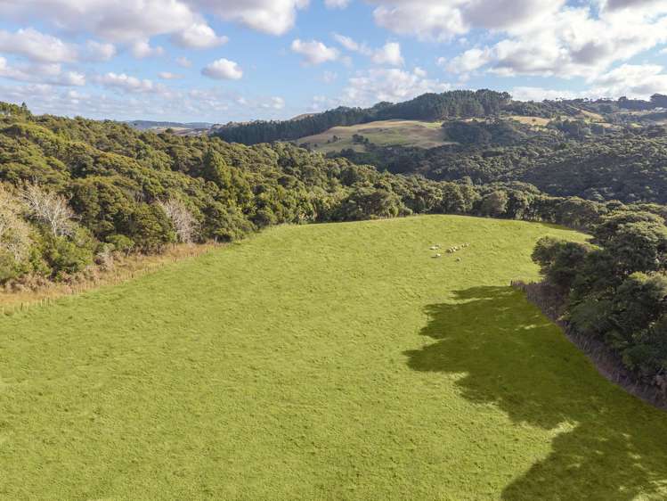 1223 Old North Road Waimauku_31