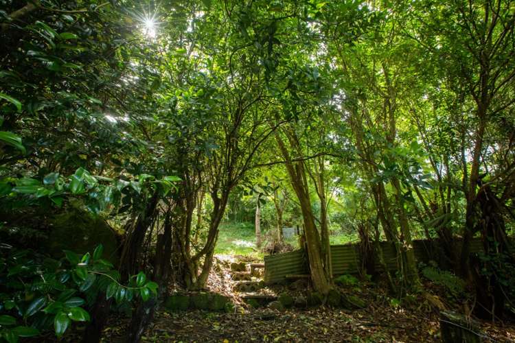 8631c State Highway 2 Waikino_10