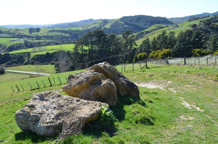 Mangapurupuru Road Bideford_8