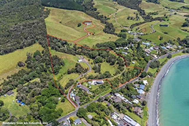 1801 East Coast Road Whakatiwai_4