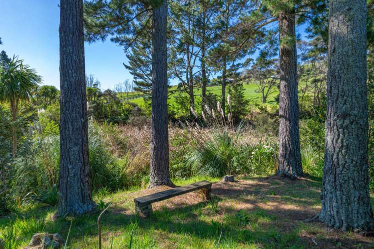 45 Manuka Grove Helensville_29