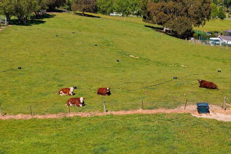 1519 Marama Road Seddon_32