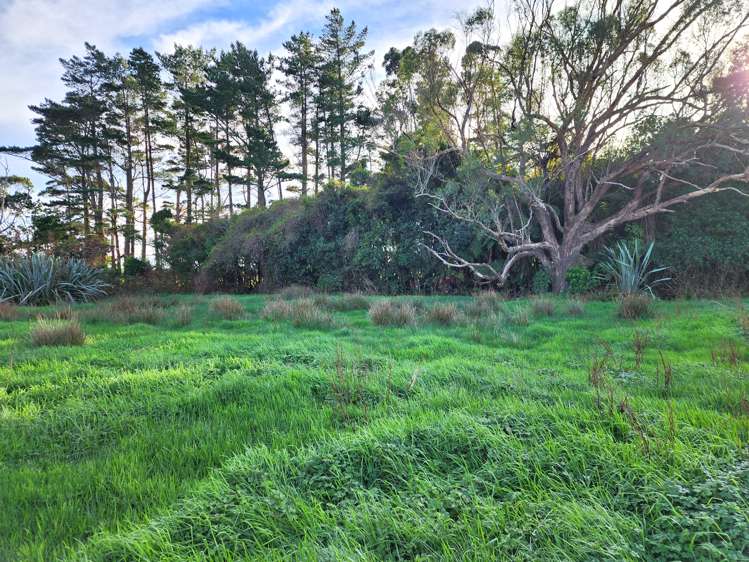 Pandora Avenue Camerons_5