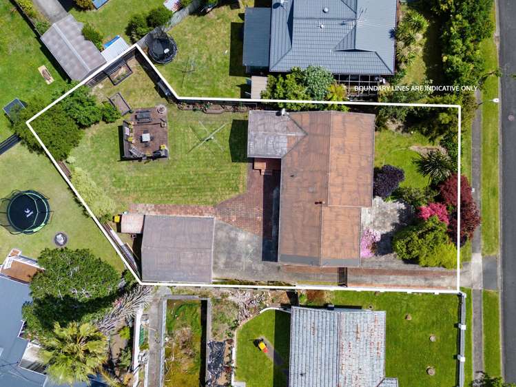 36 Caernarvon Street Dinsdale_17