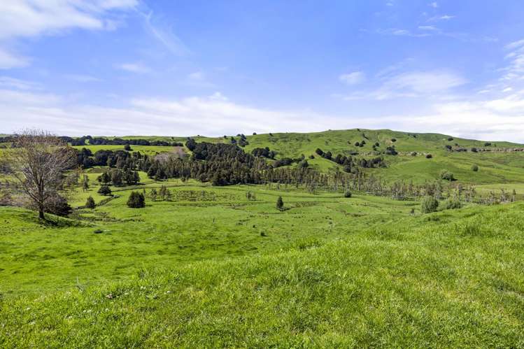 246 Allen and Eyre Road Onewhero_5
