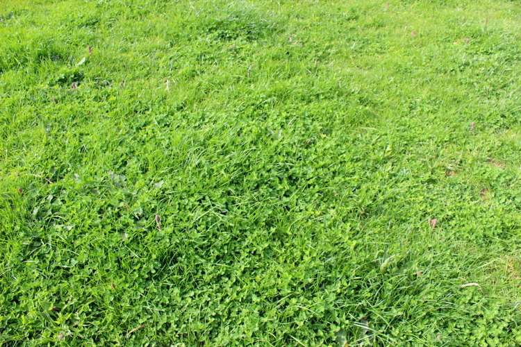 187 Katavich Road Awanui_20