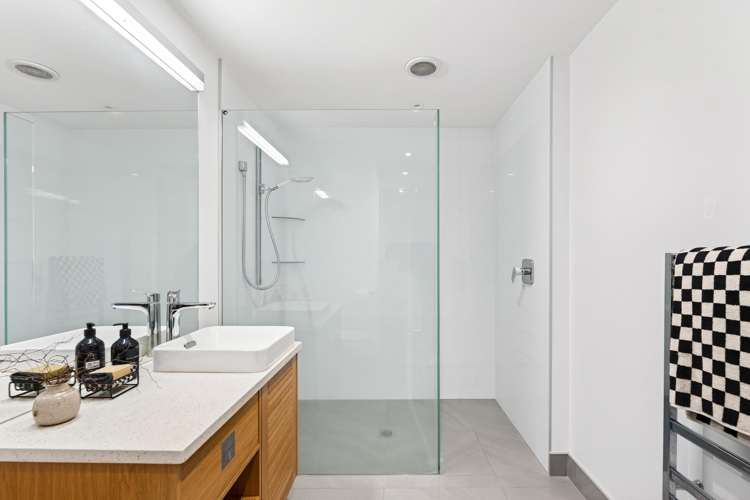 40 Roslyn Road Bluff Hill_45