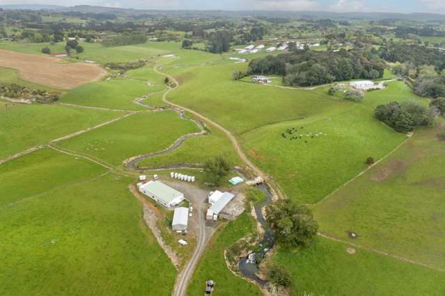 Ultimate opportunity in high growth area