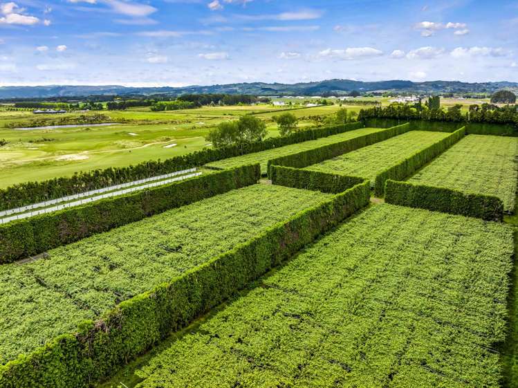 155 Phillip Road Takanini_6