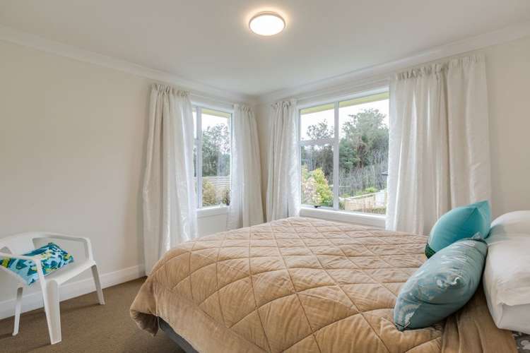 54 Every Street Andersons Bay_8