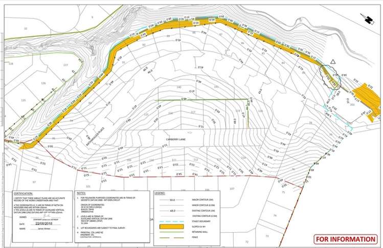 70 Spence Road Henderson_5