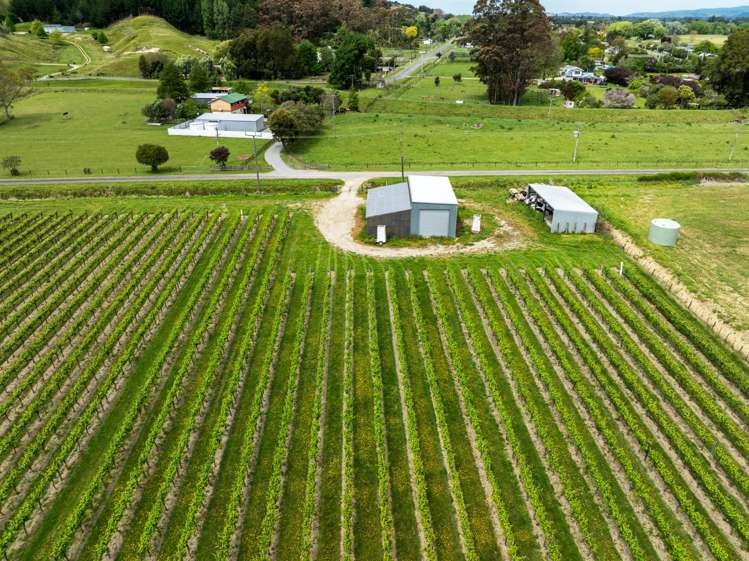 Whitmore Road Ormond_13