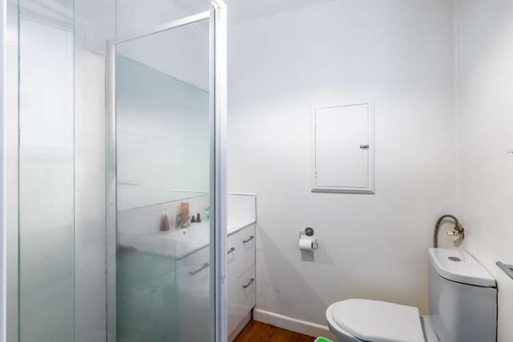17 Hutchinson Ave New Lynn_12