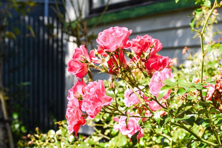 11 Bartlett Street Riccarton_19