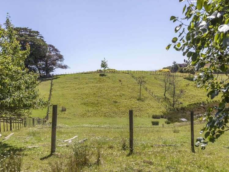 18 Sawmill Road Thames_26