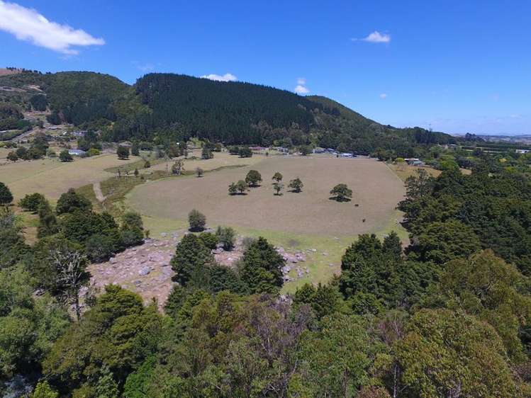 471 Crane Road Kauri_7