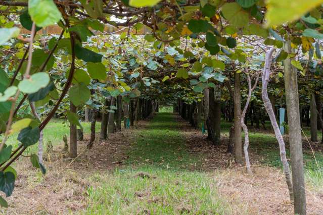 99 Homewood Drive Te Puke_2