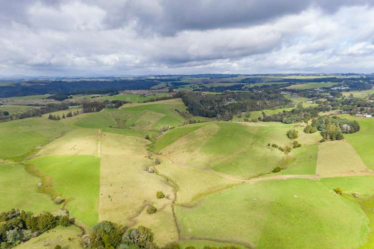 460 Pungaere Road Kerikeri Surrounds_13