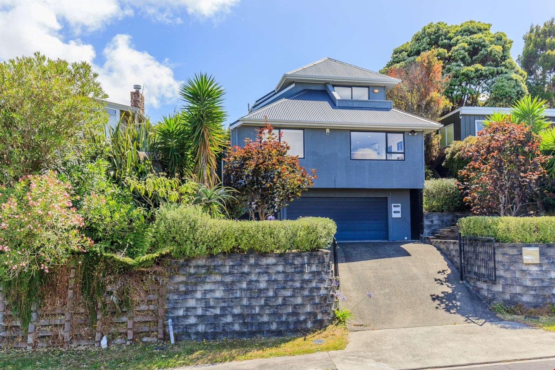 1b George Laurenson Lane Mount Roskill_0