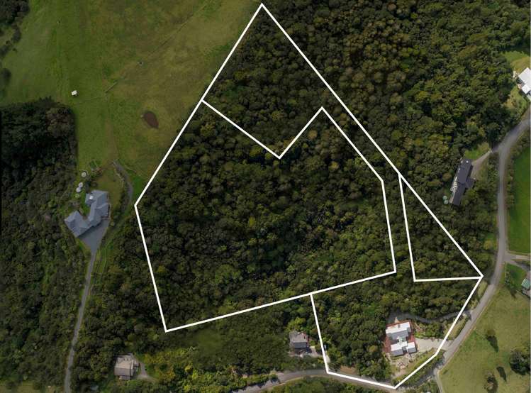 68 Tender Road Dairy Flat_17