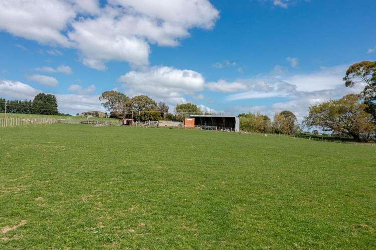 680 Cowper Road Dannevirke_15