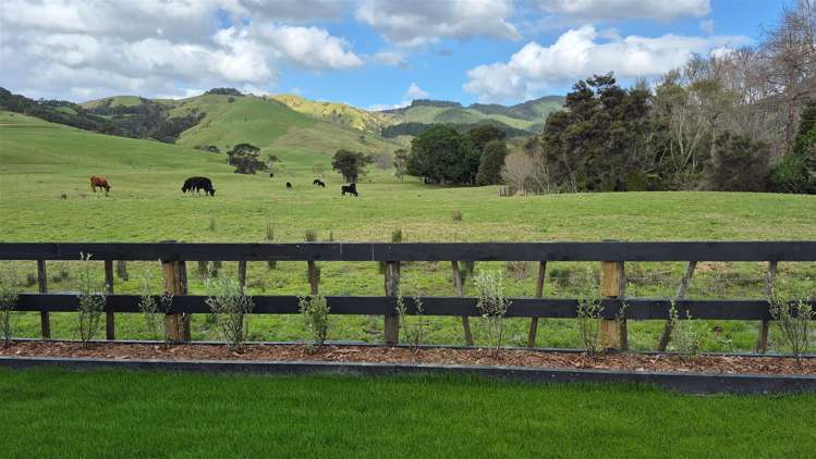 12 Mataikokako  Loop Kawakawa Bay_6