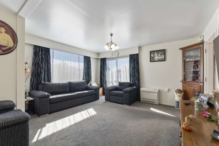 66 Inkerman Street Renwick_8