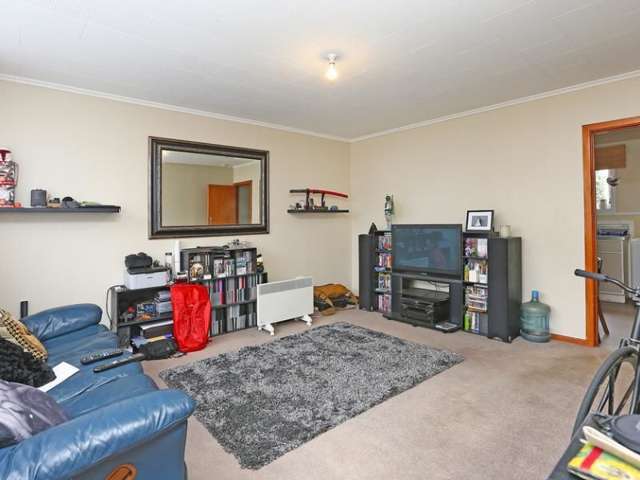 46a Britannia Street Petone_1