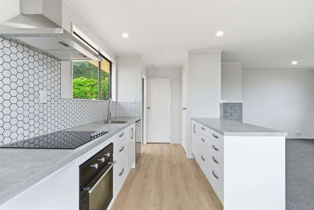 10 Whitaker Street Te Aroha_2