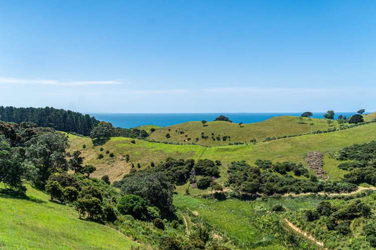 9 Tamihana Road Waiheke Island_8