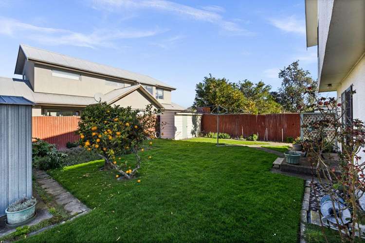 3/504 Lascelles Street St Leonards_13