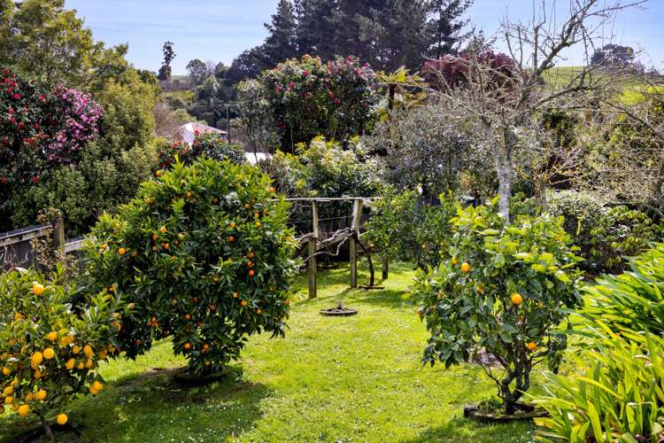 234 Bridge Street Eltham_22