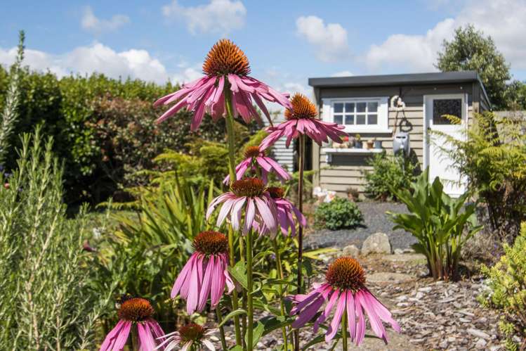 56 Reservoir Road Waihi_17