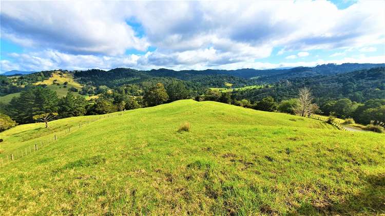 585 West Coast Road Kohukohu_6