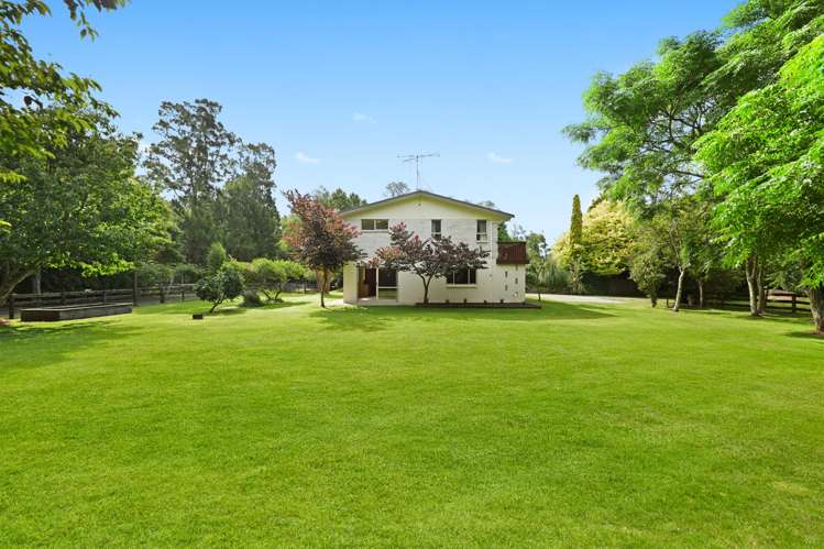 41 Poplar Lane Matangi_6