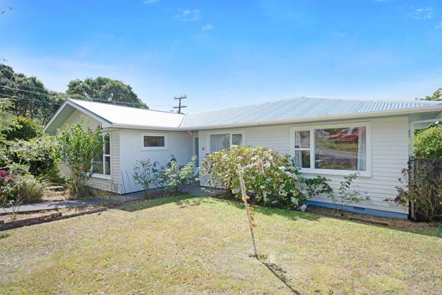 20 Elliott Street Johnsonville_1