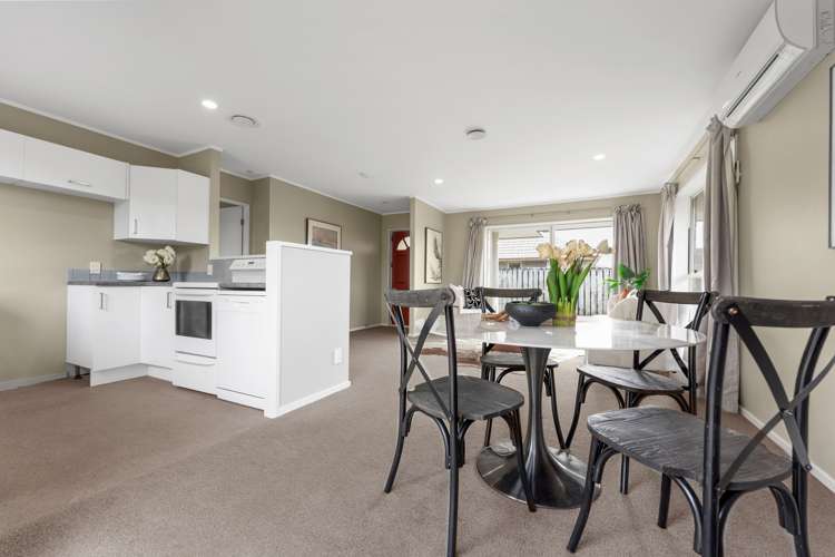 3 Dowd Place Flat Bush_7