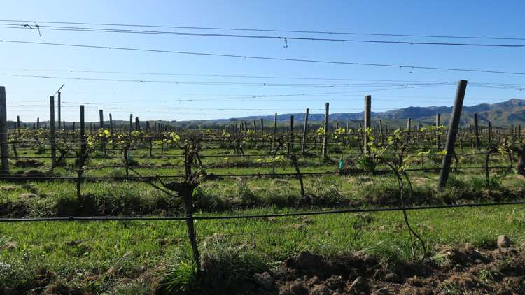 708 Waihopai Valley Road Waihopai Valley_12