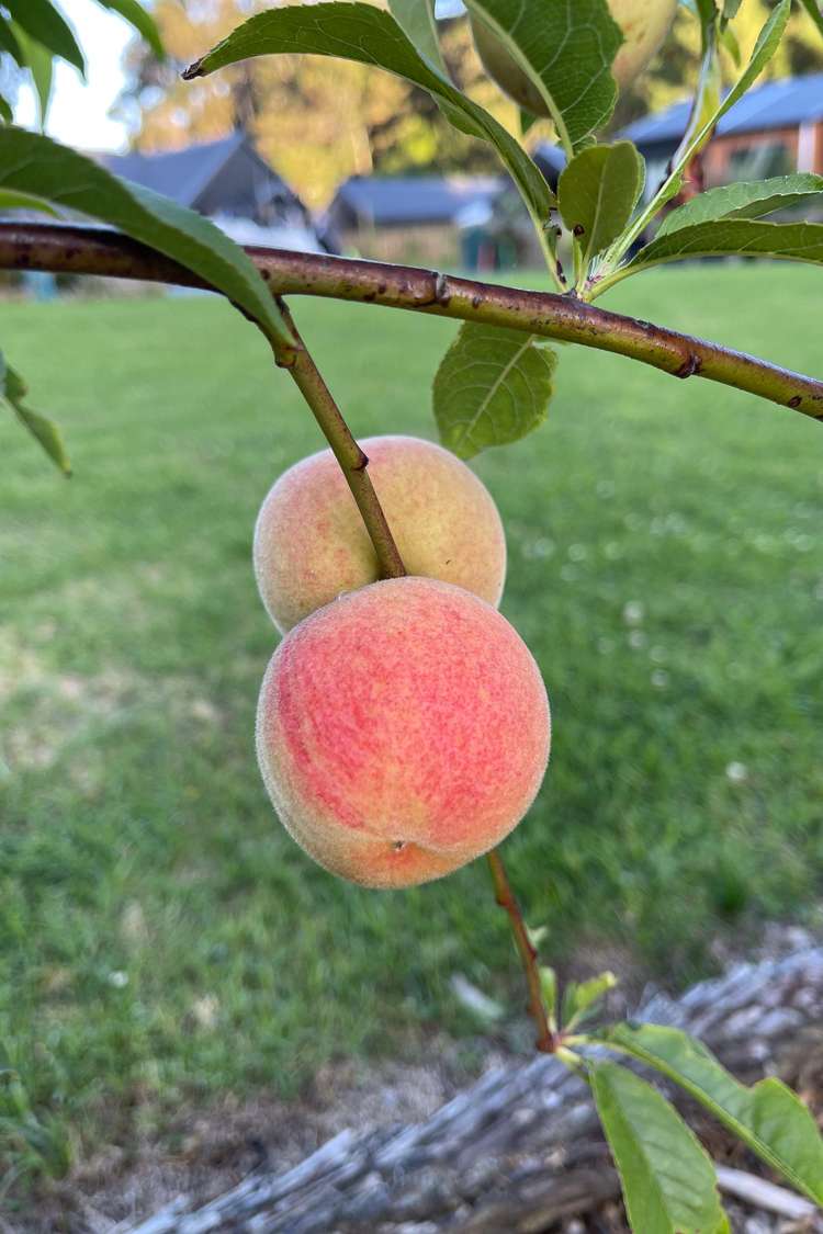 32 Admiral Way Tutukaka_20