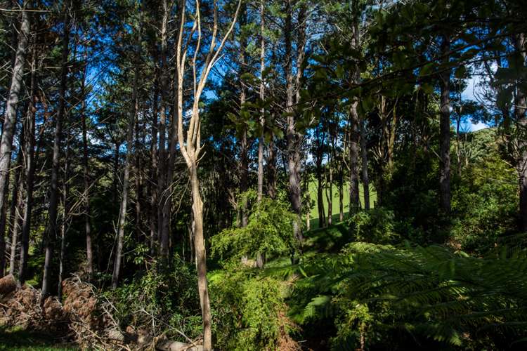 309 Larmer Road Kaitaia_24