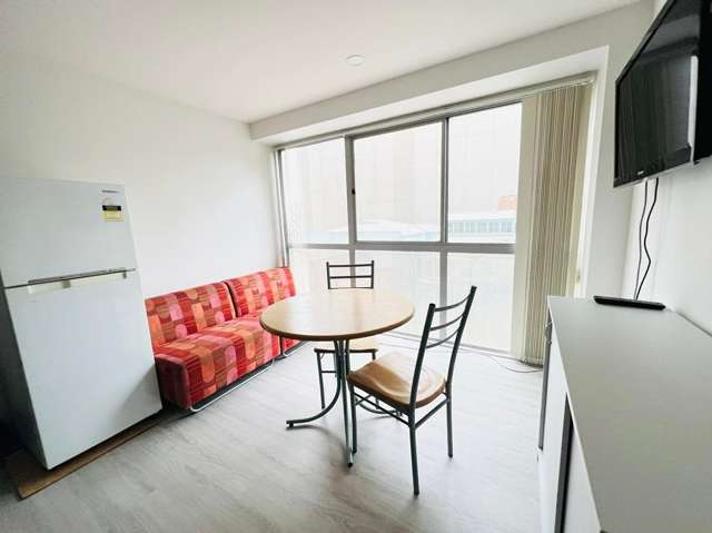 147 Hobson street 10015_1