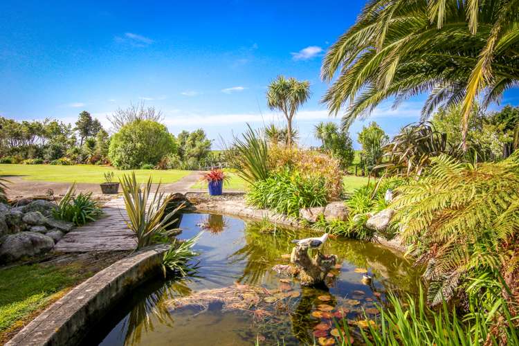 367 Utopia Road Westport_15