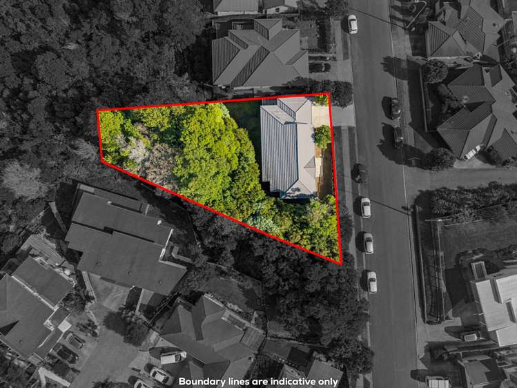 132 Glendhu Road Glenfield_17