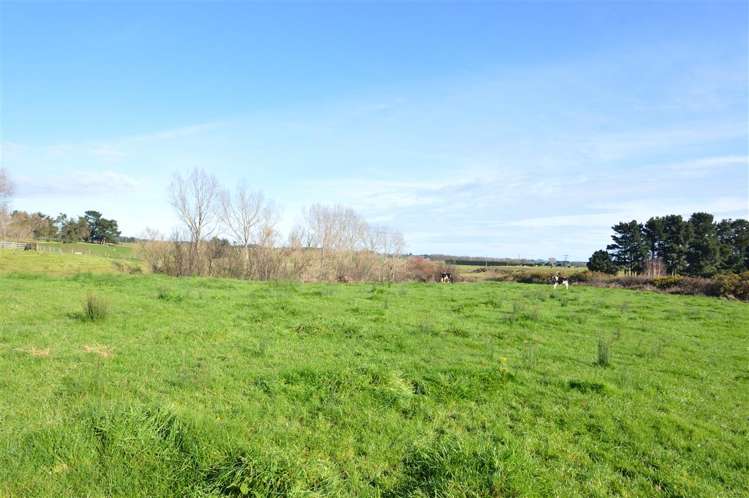 7 Julyan Street Shannon_2