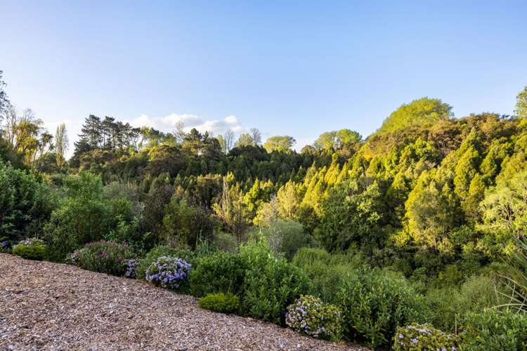 126B Woodcock Road Tamahere_23