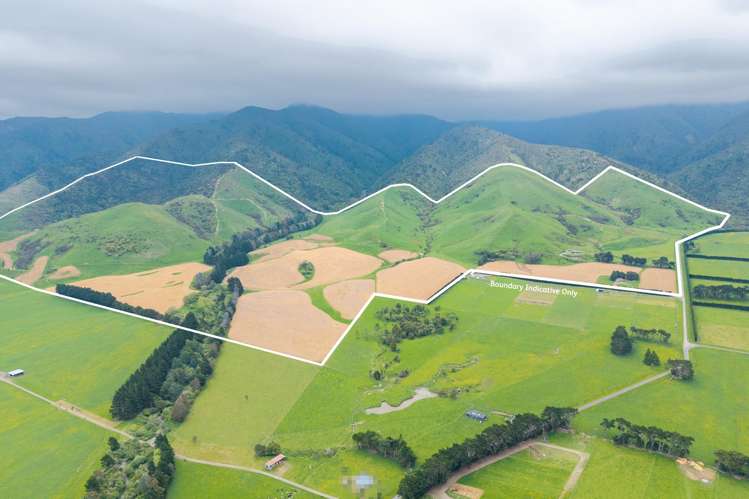 777 Kumeti Road Dannevirke_2